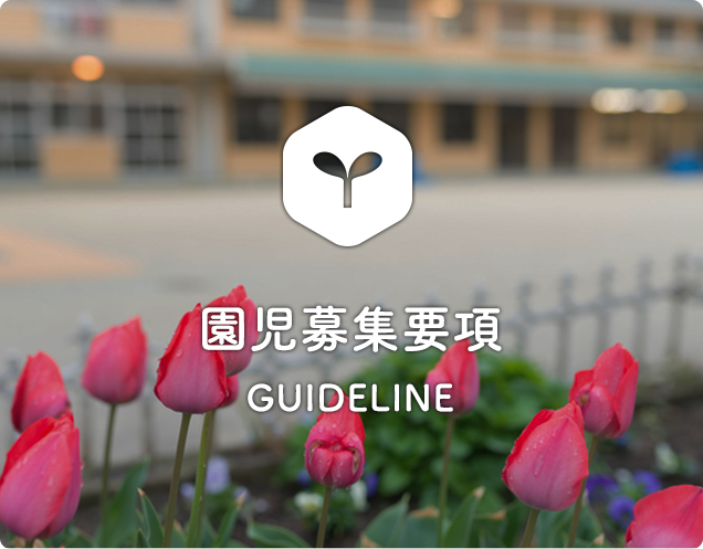 園児募集要項